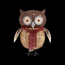 24 in. Pre-Lit Grapevine and Burlap Owl