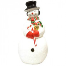 40 in. Large Snowman with Light