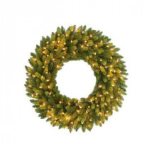 30 in. Feel-Real Jersey Fraser Fir Artificial Wreath with 100 Clear Lights