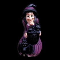 33 in. Lighted Witch and Cauldron