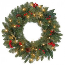 24 in. Winslow Artificial Wreath with 35 Clear Lights