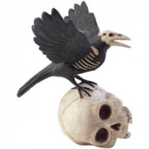11.5 in. Haunted Raven on Skull