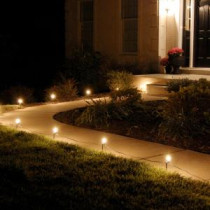 Pathway Clear String Lights (Set of 10)