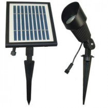 Solar-Powered Black Outdoor Spotlight with 12 Bright White LEDs