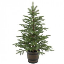 4 ft. Norwegian Spruce Entrance Artificial Christmas Tree with Clear Lights