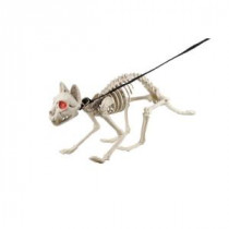 Animated Skeleton Cat with Leash with Light and Sound