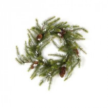 Evergreen Collection 24 in. Snow Pine Artificial Christmas Wreath (Pack of 2)