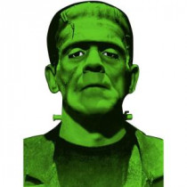 Frankenstein Window Cover