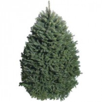 7 ft. to 8 ft. Fresh-Cut Balsam Fir Christmas Tree (In-Store Only)